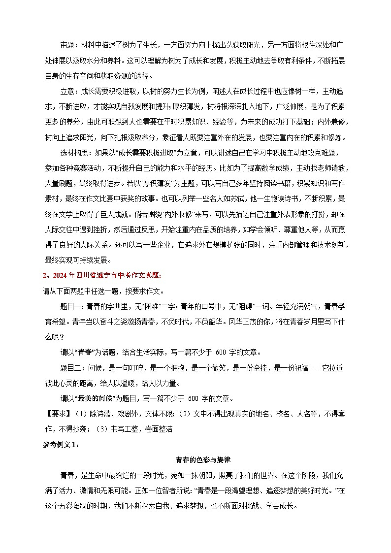 2024年各地中考语文满分作文整理汇总练习第2页