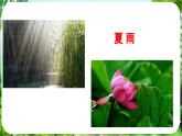 第3課《雨的四季》（課件）-2024-2025學(xué)年七年級(jí)語(yǔ)文上冊(cè)同步備課課件（統(tǒng)編版2024）