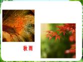 第3課《雨的四季》（課件）-2024-2025學(xué)年七年級(jí)語(yǔ)文上冊(cè)同步備課課件（統(tǒng)編版2024）