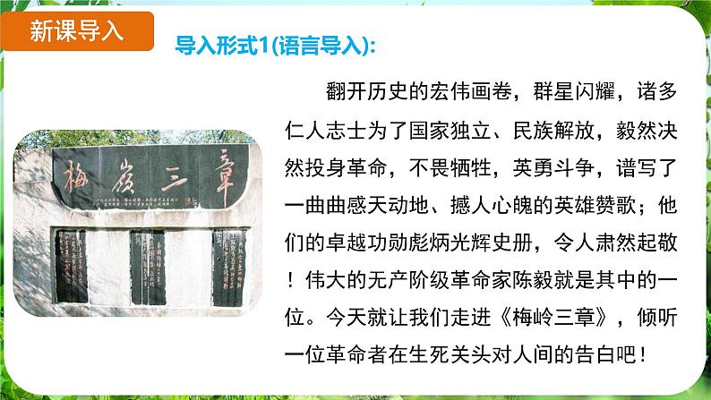 第15课《梅岭三章》（课件）-2024-2025学年七年级语文上册同步备课课件（统编版2024）03