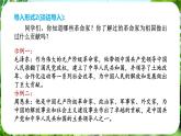 第15課《梅嶺三章》（課件）-2024-2025學(xué)年七年級(jí)語(yǔ)文上冊(cè)同步備課課件（統(tǒng)編版2024）