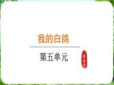 第18课《我的白鸽》（课件）-2024-2025学年七年级语文上册同步备课课件（统编版2024）