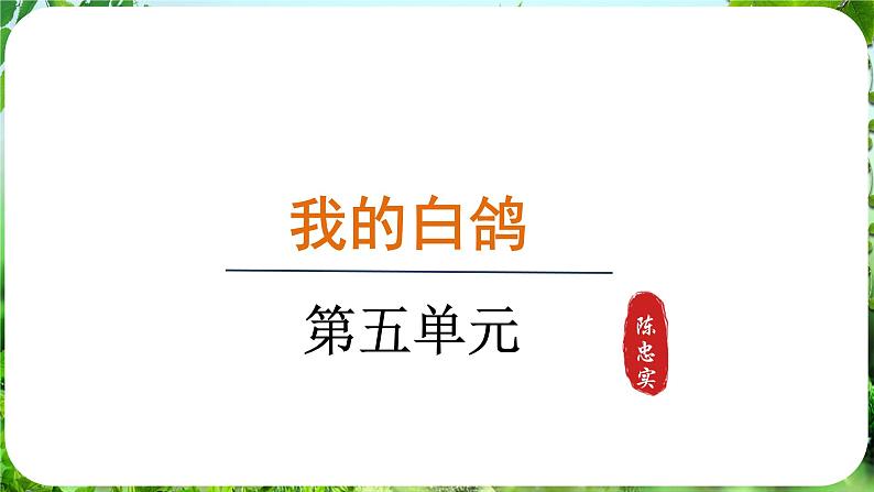 第18课《我的白鸽》（课件）-2024-2025学年七年级语文上册同步备课课件（统编版2024）01