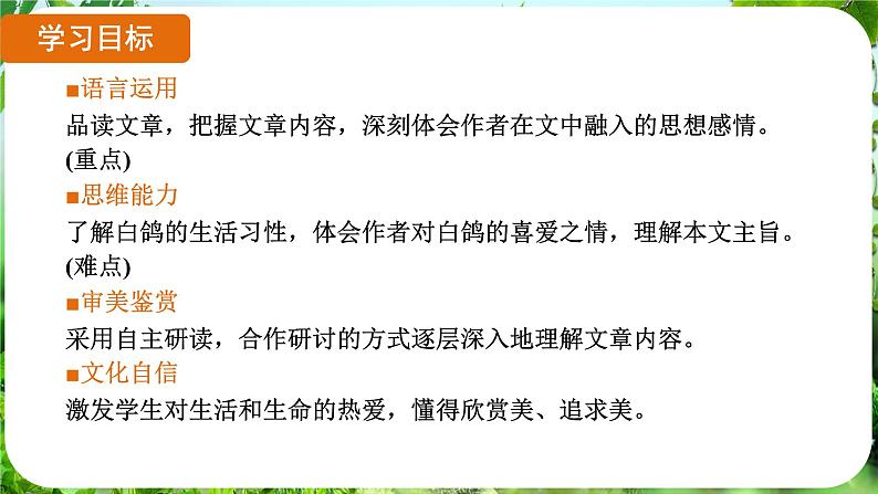 第18课《我的白鸽》（课件）-2024-2025学年七年级语文上册同步备课课件（统编版2024）02