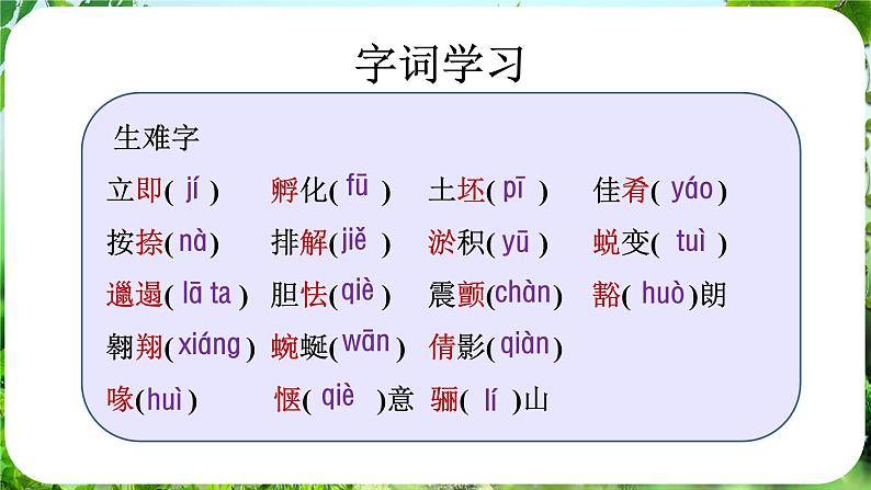 第18课《我的白鸽》（课件）-2024-2025学年七年级语文上册同步备课课件（统编版2024）07