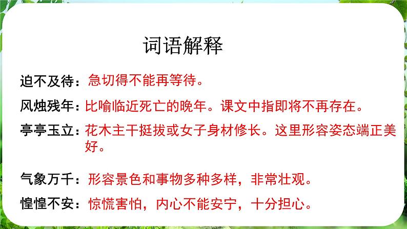 第18课《我的白鸽》（课件）-2024-2025学年七年级语文上册同步备课课件（统编版2024）08