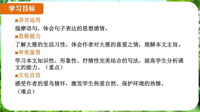 第19课《大雁归来》（课件）-2024-2025学年七年级语文上册同步备课课件（统编版2024）02