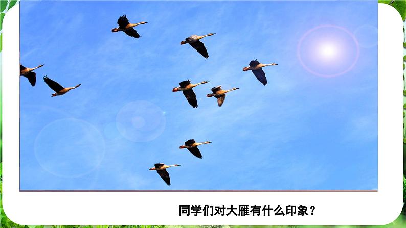 第19课《大雁归来》（课件）-2024-2025学年七年级语文上册同步备课课件（统编版2024）04
