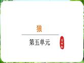 第20课《狼》（课件）-2024-2025学年七年级语文上册同步备课课件（统编版2024）