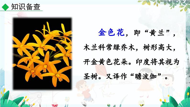 语文 统编版 七年级上册 第2单元 7 散文诗二首 PPT课件第6页