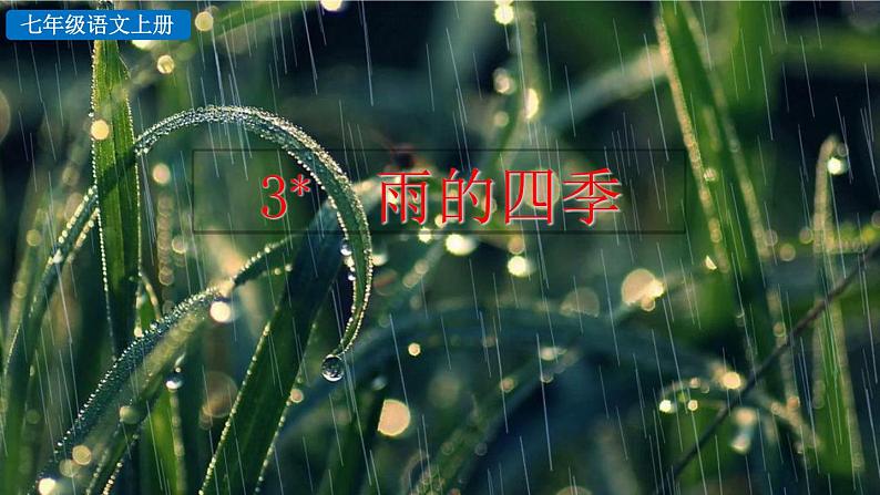 语文 部编版 七年级上册 第1单元 3 雨的四季 PPT课件04