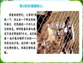 專題學(xué)習(xí)活動——有朋自遠(yuǎn)方來（課件）-2024-2025學(xué)年七年級語文上冊同步備課課件（統(tǒng)編版2024）