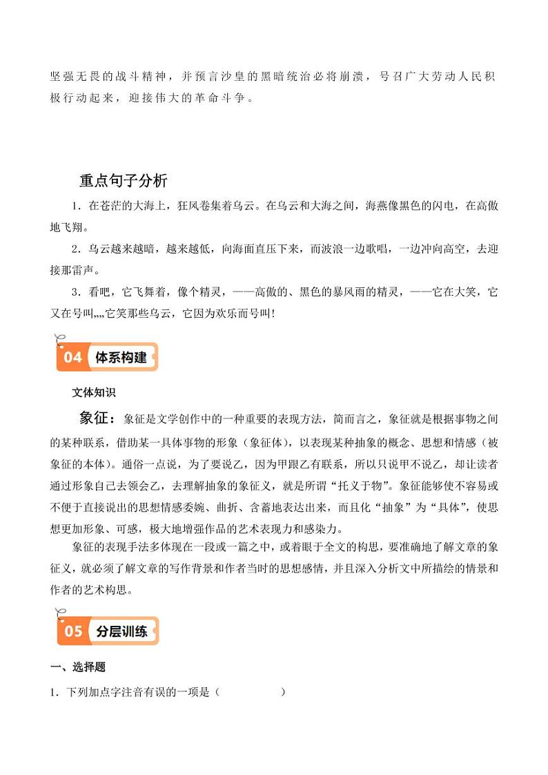 第4课 海燕（导学案）（含答案） 2024-2025学年九年级语文下册同步学与练（统编版）03