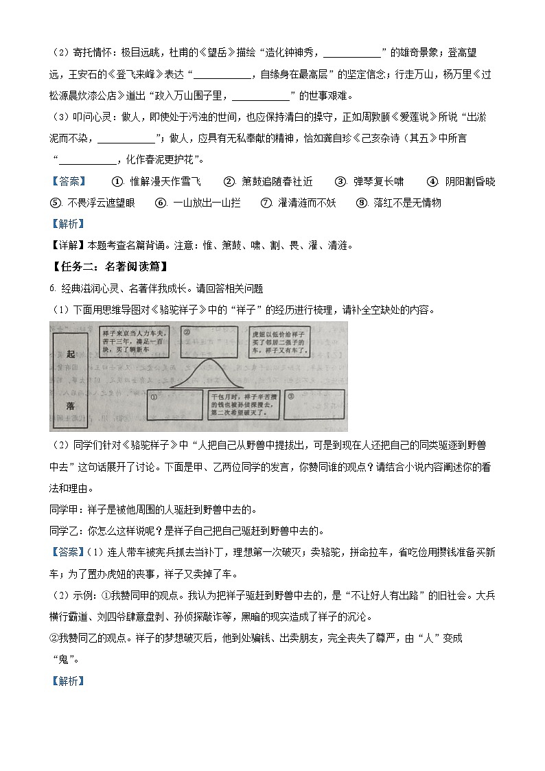 山东省德州市平原县2023-2024学年七年级下学期期末语文试题（解析版）第3页