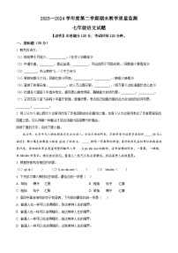 广东省惠州市惠阳区2023-2024学年七年级下学期期末语文试题（原卷版+解析版）