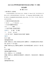 河北省石家庄市长安区2023-2024学年七年级下学期期末语文试题（解析版）