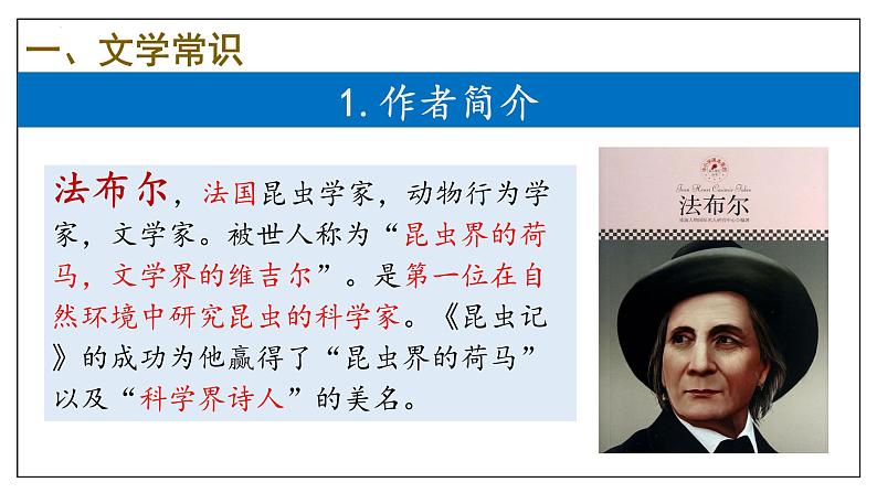 专题02 名著阅读【考点串讲】-2024-2025学年八年级语文上学期期末考点大串讲（统编版）课件PPT04