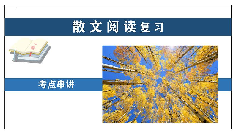 专题06 散文阅读【考点串讲】-2024-2025学年八年级语文上学期期末考点大串讲（统编版）课件PPT01