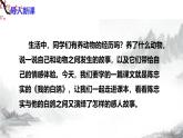 第18课《我的白鸽》课件+教学设计+同步练习-部编版语文七年级上册