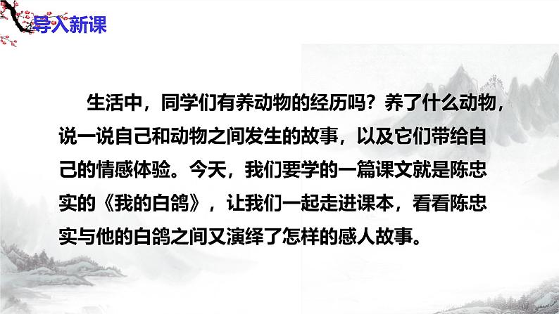 第18课《我的白鸽》课件+教学设计+同步练习-部编版语文七年级上册03
