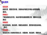 第18课《我的白鸽》课件+教学设计+同步练习-部编版语文七年级上册