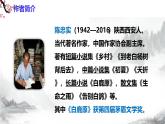 第18课《我的白鸽》课件+教学设计+同步练习-部编版语文七年级上册