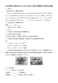 江苏省淮安市淮安区2023-2024学年八年级下学期期中语文试题（原卷版+解析版）