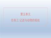 2024七年级语文上册第五单元任务三记述与动物的相处课件（部编版）