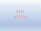 2024七年級語文上冊第三單元閱讀綜合實踐課件（部編版）