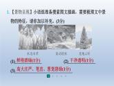 2024七年級(jí)語(yǔ)文上冊(cè)第一單元閱讀綜合實(shí)踐習(xí)題課件（部編版）