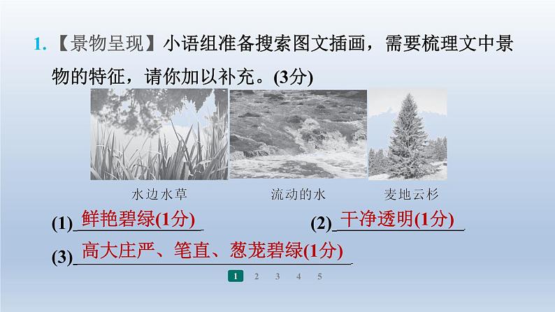 2024七年级语文上册第一单元阅读综合实践习题课件（部编版）03