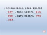 2024七年級(jí)語文上冊(cè)第六單元整本書閱讀專練西游記習(xí)題課件（部編版）