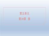 2024七年级语文上册第五单元20狼习题课件（部编版）