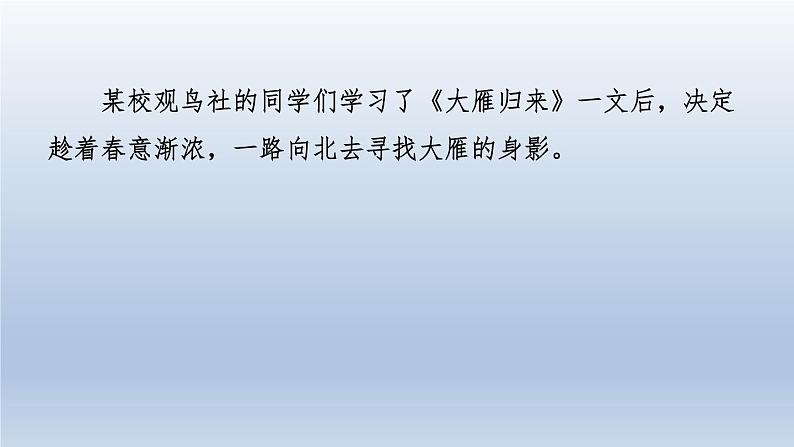2024七年级语文上册第五单元19大雁归来习题课件（部编版）03
