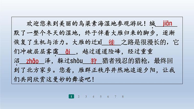 2024七年级语文上册第五单元19大雁归来习题课件（部编版）05