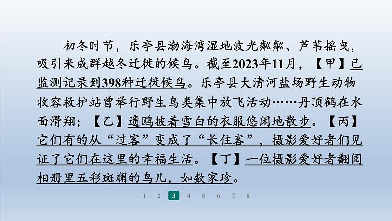 2024七年级语文上册第五单元19大雁归来习题课件（部编版）08