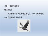 2024七年级语文上册第五单元19大雁归来习题课件（部编版）