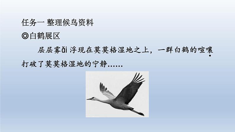 2024七年级语文上册第五单元19大雁归来习题课件（部编版）03