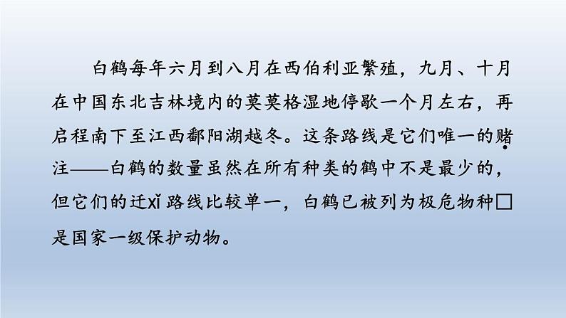2024七年级语文上册第五单元19大雁归来习题课件（部编版）04
