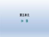 2024七年级语文上册第五单元20狼习题课件（部编版）