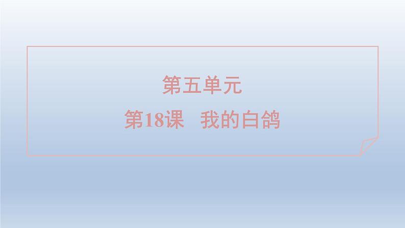 2024七年级语文上册第五单元18我的白鸽课件（部编版）第1页