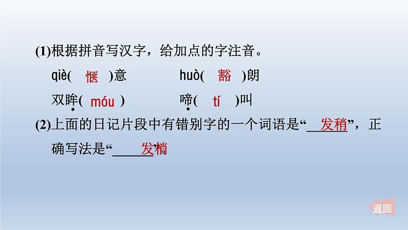 2024七年级语文上册第五单元18我的白鸽课件（部编版）第3页