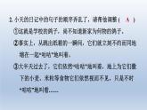 2024七年级语文上册第五单元18我的白鸽课件（部编版）