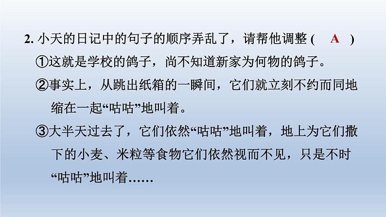 2024七年级语文上册第五单元18我的白鸽课件（部编版）第4页