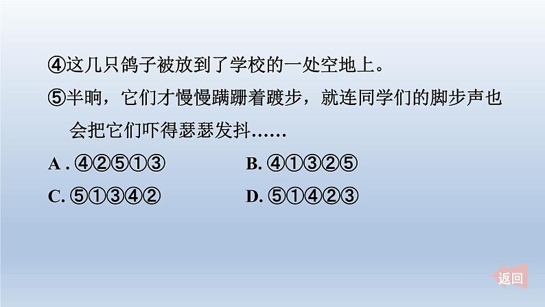 2024七年级语文上册第五单元18我的白鸽课件（部编版）第5页