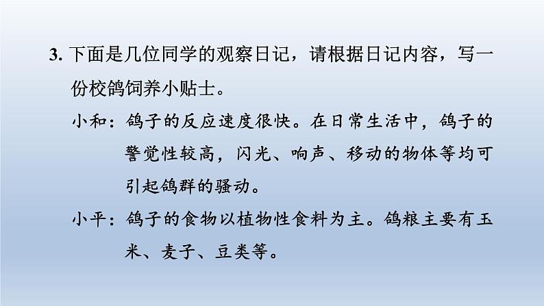 2024七年级语文上册第五单元18我的白鸽课件（部编版）第6页