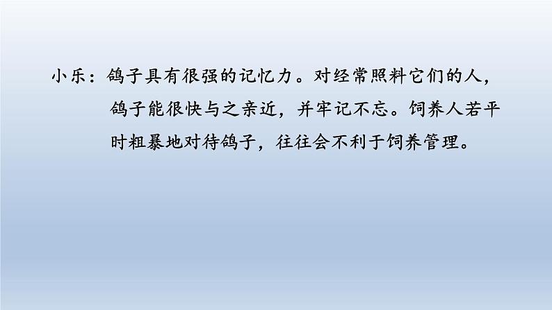 2024七年级语文上册第五单元18我的白鸽课件（部编版）第7页