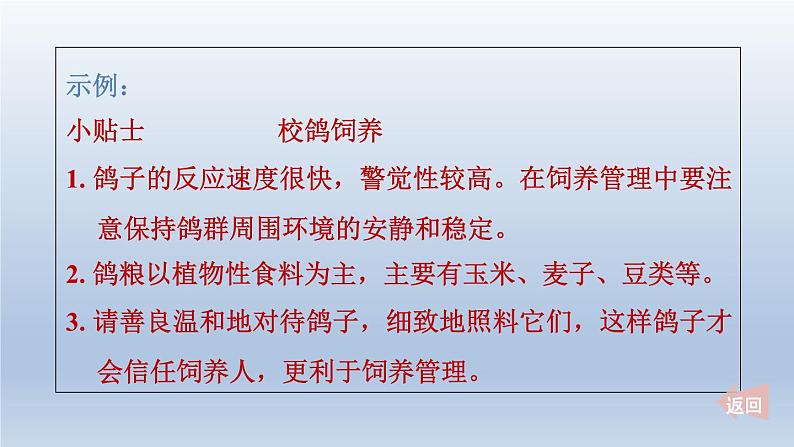 2024七年级语文上册第五单元18我的白鸽课件（部编版）第8页