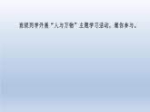 2024七年级语文上册第五单元17猫习题课件（部编版）
