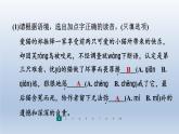 2024七年级语文上册第五单元17猫习题课件（部编版）